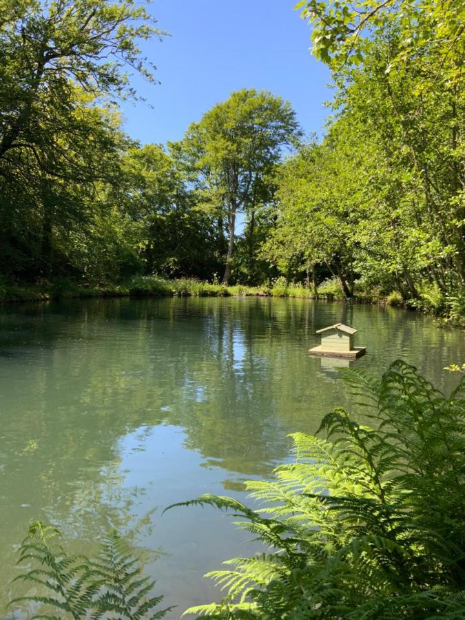 Red River Stables - Peaceful, Beautiful Grounds, Swimming Pool, Central Location For West Cornwall 坎伯恩 外观 照片